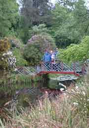 Portmeirion garden